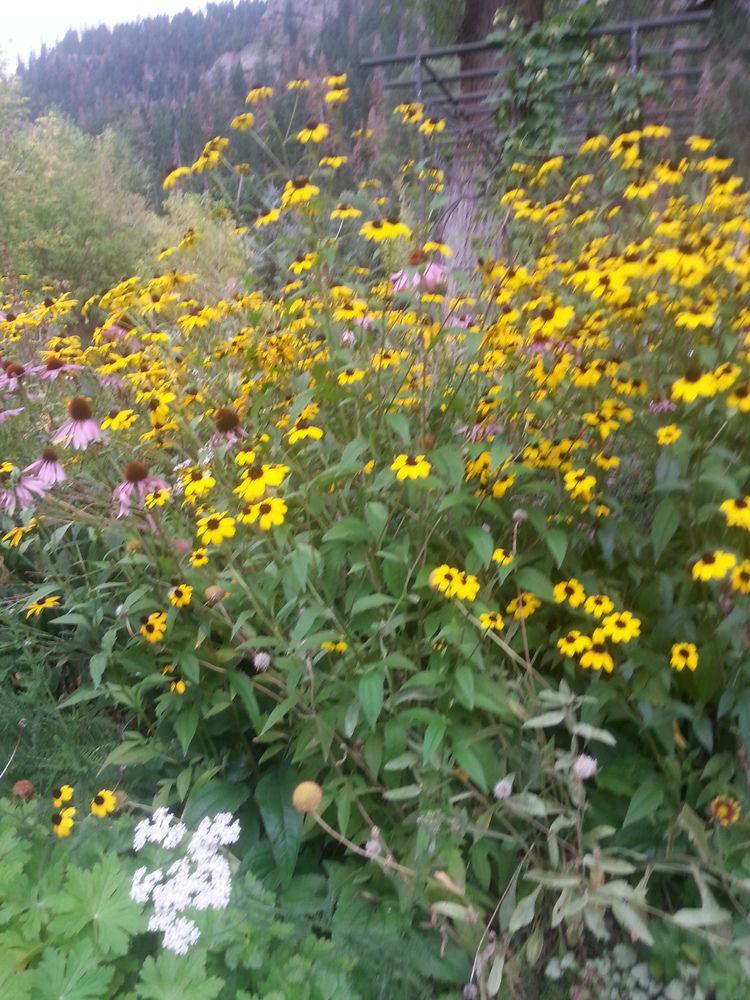 Rivers Edge Motel Lodge & Resort Ouray Luaran gambar