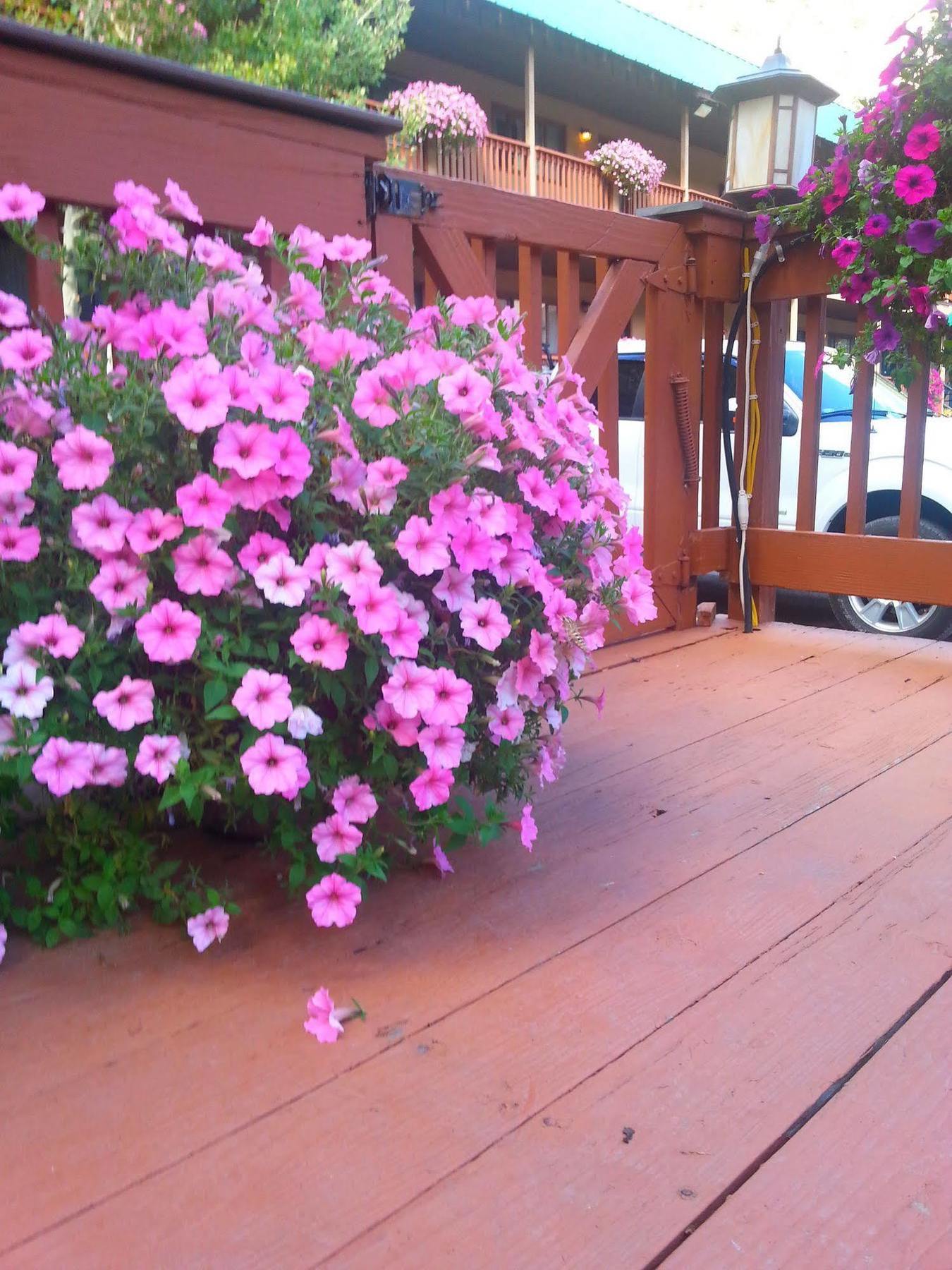 Rivers Edge Motel Lodge & Resort Ouray Luaran gambar